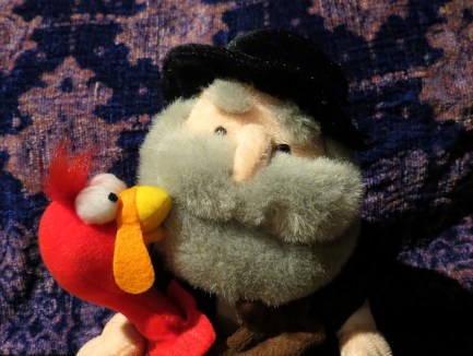 11082892885_706772f0ce_z