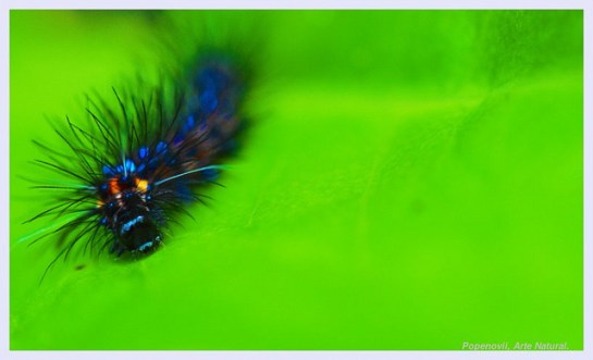 7132103115_5f5e7d57bf_z