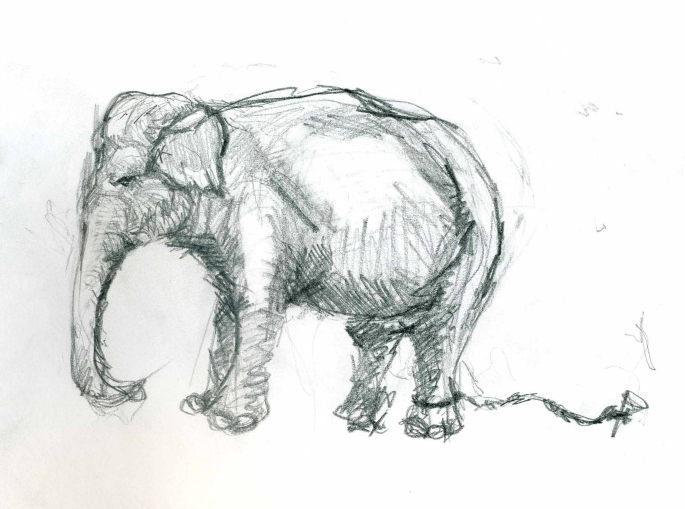 Chained Elephant